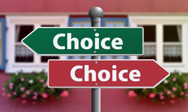 Life Insurance Leads – What are your choices for success?